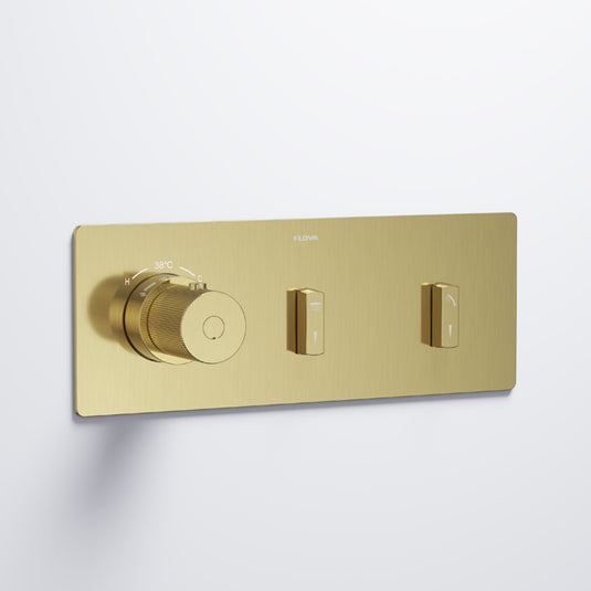 Flova GoSlide Landscape 2-Outlet Finishing Set Brushed Brass | BRB-GSL2-TRIM - Envy Bathrooms Ltd