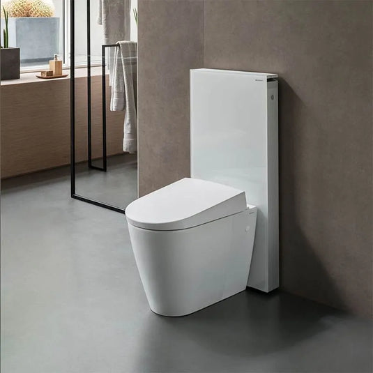 Geberit Monolith WC Sanitary Module Floorstanding Installation | 131.033.SI.5