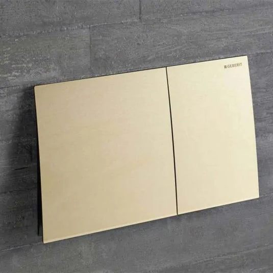 Geberit Sigma70 Dual Flush Plate Stainless Steel / Brass | 115.622.QF.1
