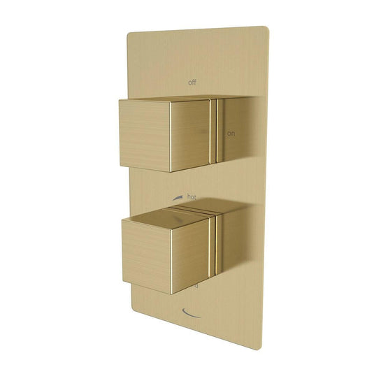 Tavistock Index Dual Function Concealed Shower Valve - Brushed Brass - SND1615 - Envy Bathrooms Ltd