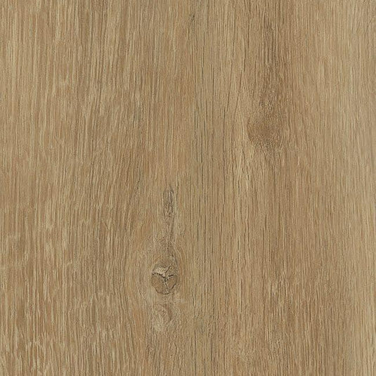 TLC Forest in Grizedale 5192 £21.99 per sqm - Envy Bathrooms Ltd
