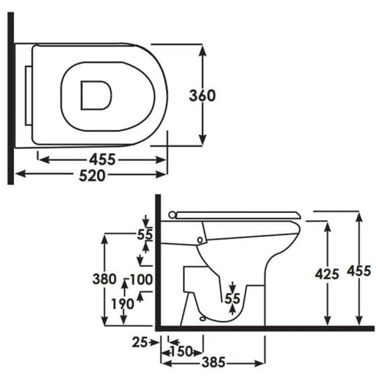 RAK Ceramics Special Needs Rimless Comfort Height Toilet Pan - Alpine White - SP18AWHA