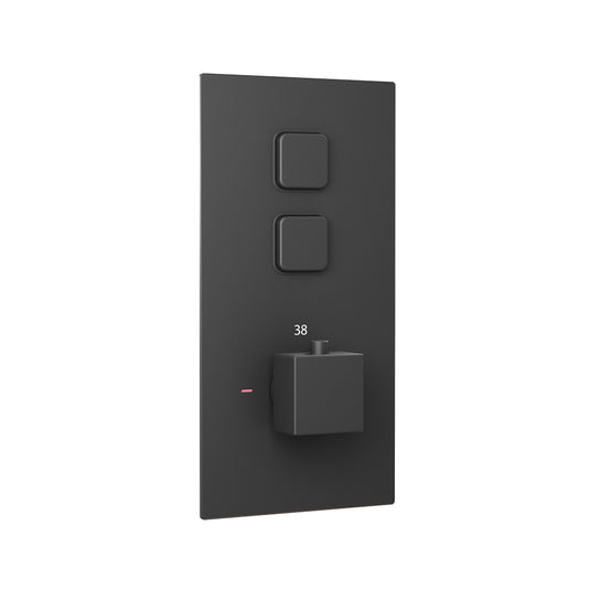 Eastbrook Concealed Thermostatic Shower Valve Double Square Push Button Smooth Black | 93.0093