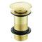 Emerald Sprung Plug Large Cover Unslotted Basin Waste | Brushed Brass | WF2BR