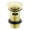 Emerald Sprung Plug Slotted Basin Waste | Brushed Brass | WF1BR