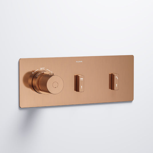 Flova GoSlide Landscape 2-Outlet Finishing Set Brushed Bronze | BRO-GSL2-TRIM - Envy Bathrooms Ltd