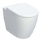 Geberit iCon Rimless Back to Wall Pan with Seat Shrouded | 502.383.JT.1