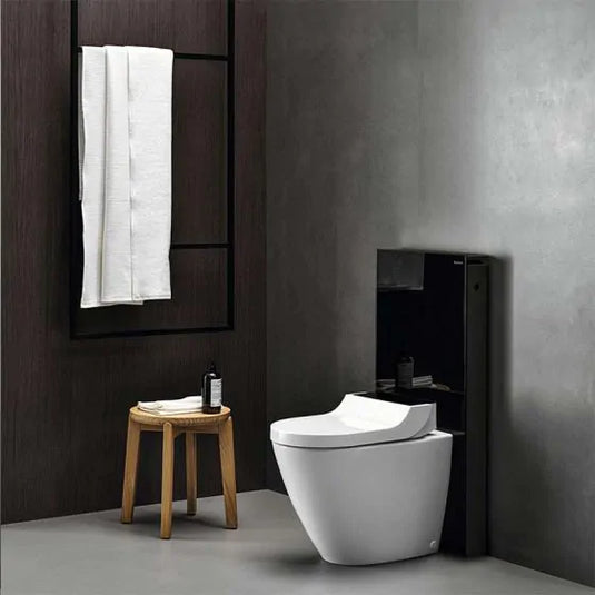 Geberit Monolith WC Sanitary Module Floorstanding Installation | 131.033.SJ.6