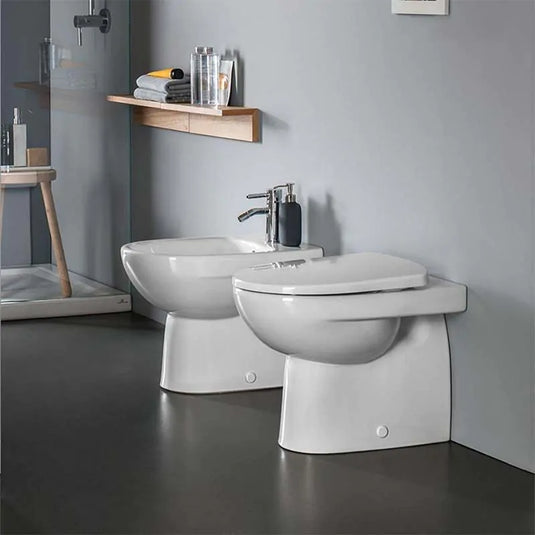 Geberit Selnova Rimless Semi-Shrouded Back To Wall Pan | 500.393.01.7