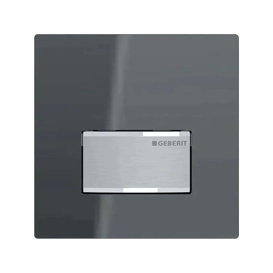 Geberit Type50 Urinal Flush Lava | 116.016.JK.5