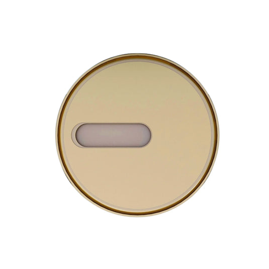Imex Seat fixing in Brushed Brass - UNSFBR - Envy Bathrooms Ltd