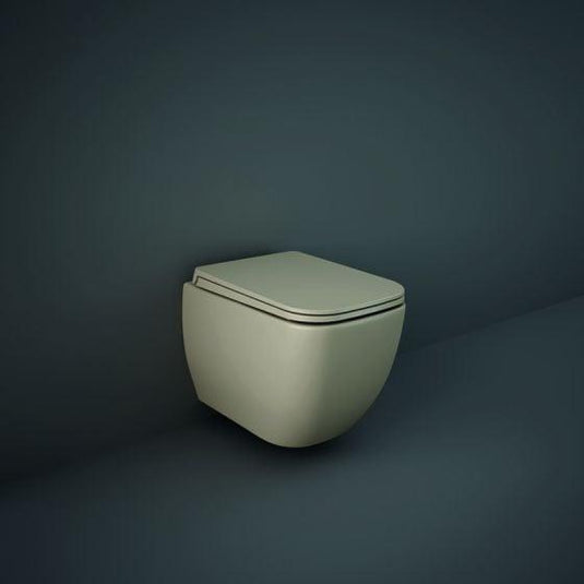 RAK Ceramics Feeling Soft Close Toilet Seat & Cover - Matt Cappuccino - MPSC3901514 - Envy Bathrooms Ltd