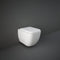 RAK Ceramics Metropolitan Quick Release Soft Close WC Pan Seat | White | RAKSEAT016