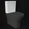 RAK Ceramics Resort Close Coupled Cistern | RST10AWHA