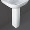 RAK Ceramics Tonique Full Pedestal For 55cm Basin | OR02AWHA