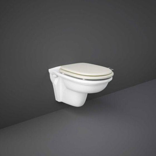 RAK Ceramics Washington Rimless Wall Hung Pan - WT20AWHA - Envy Bathrooms Ltd