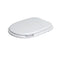 RAK Ceramics Washington Wood Soft Close Seat and Cover in Matt White - RAKWTNSEAT500