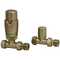 Ruby Round Thermostatic Brushed Brass Radiator Valves | Straight | RUBY108860