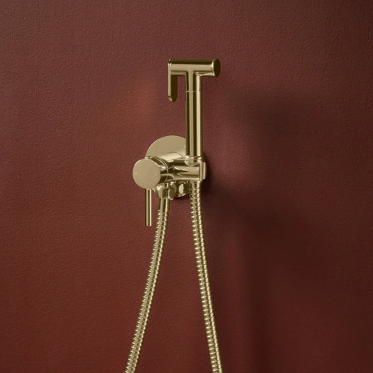 Scudo Integrated Douche Handset; Flexi; Holder and Outlet Elbow - Brushed Brass - DOUCHE011 - Envy Bathrooms Ltd