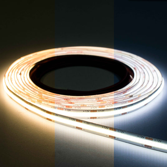 Sycamore Tunable COB 5m LED Reel | SY2450