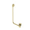 Tavistock Exposed Overflow with Click Waste |  Brass |  DC17021