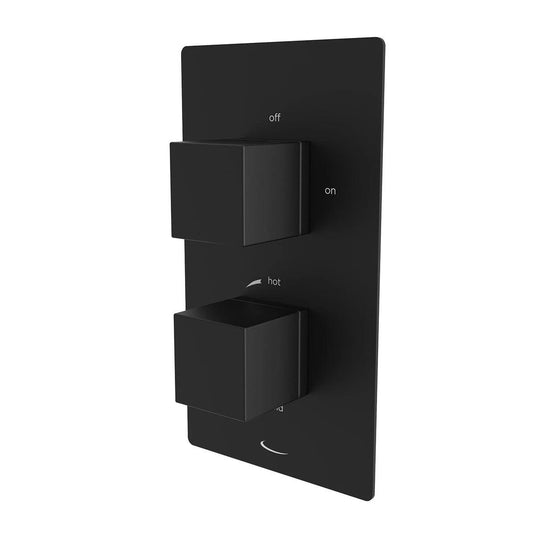 Tavistock Index Dual Function Concealed Shower Valve Matt Black - Envy Bathrooms Ltd