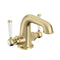 Tavistock Lansdown Twin Basin Mono Mixer Tap with Click Waste |  Brushed Brass |  TLD1104