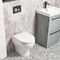 Tavistock Micra Evo Rimless Back to Wall Pan |  White |  BTW950S