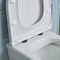 Tavistock Optional Seat Hinge Covers |  Black |  DC4032