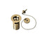 Tavistock Plug and Chain |  Brushed Brass |  WASTE14