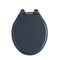 Tavistock Vitoria Soft Close Toilet Seat Matt Dark Grey | DC4004-SF