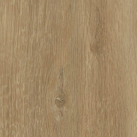 TLC Forest in Grizedale 5192 £20.99 per sqm - Envy Bathrooms Ltd